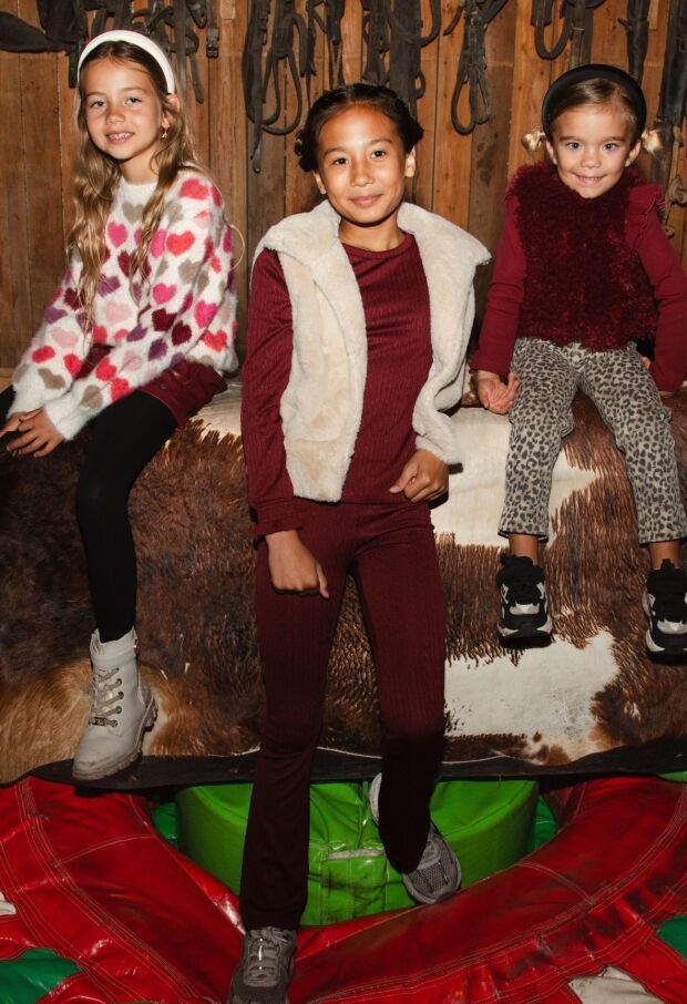 W10052/3110504 wijn rood