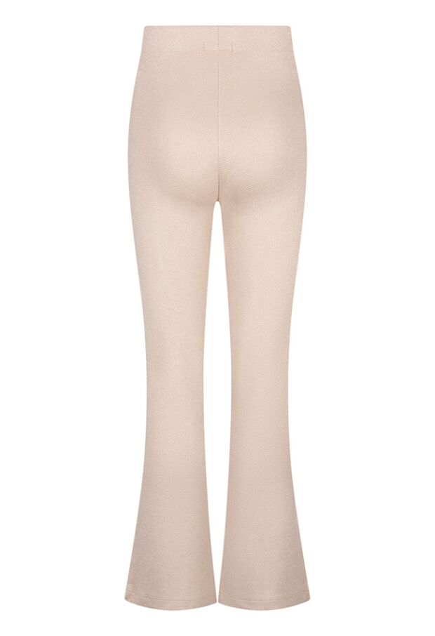 W10055/3110205 champagne