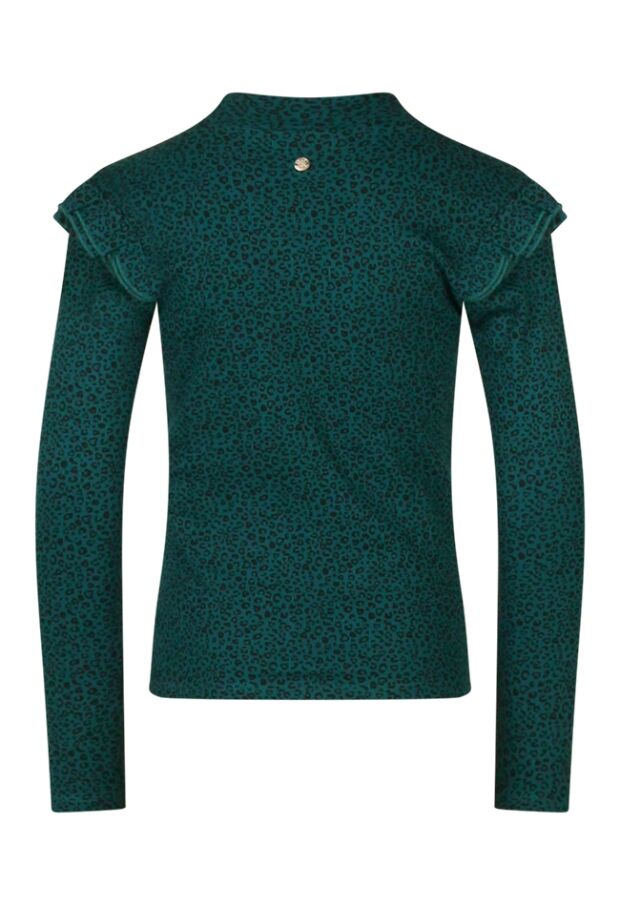 W10077/3110602 petrol