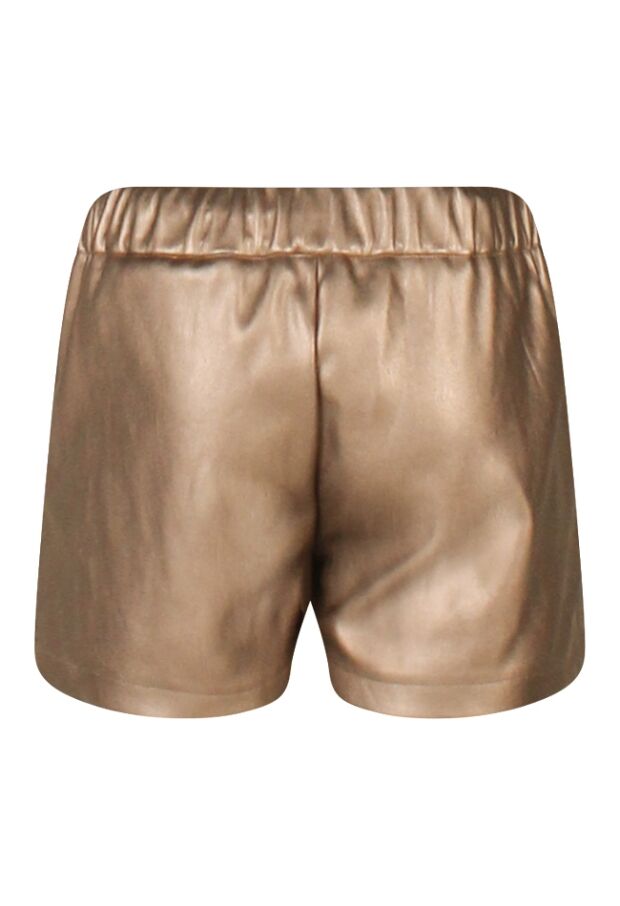 W10090/3110214 Brons