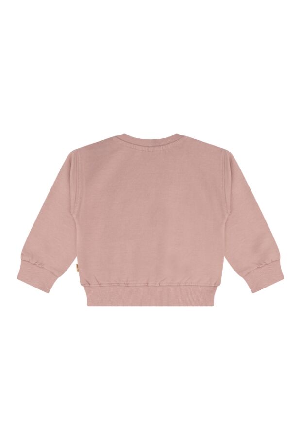 W10171/3115400 OUD ROSE 