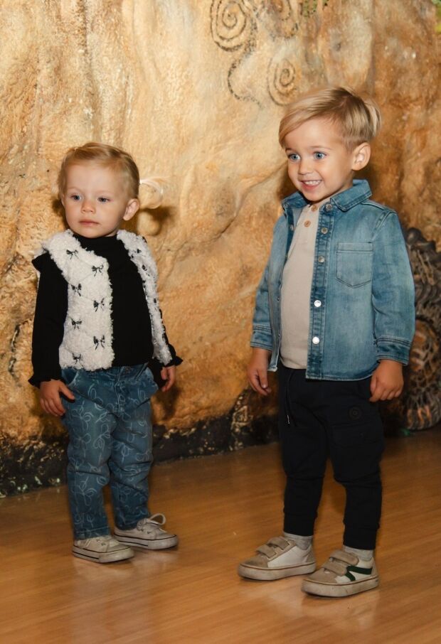 W10292/3111601 licht grijs