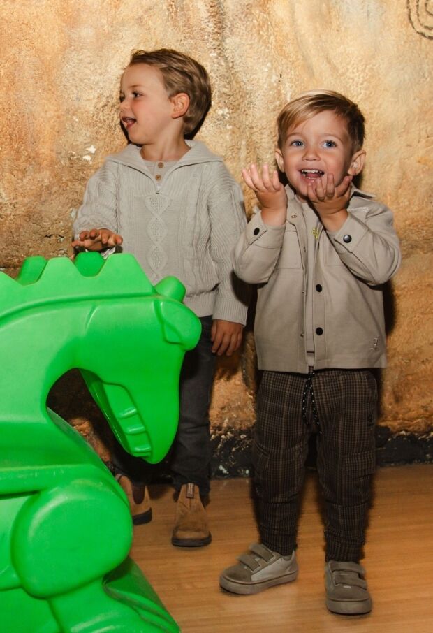 W10293/3111400 licht grijs