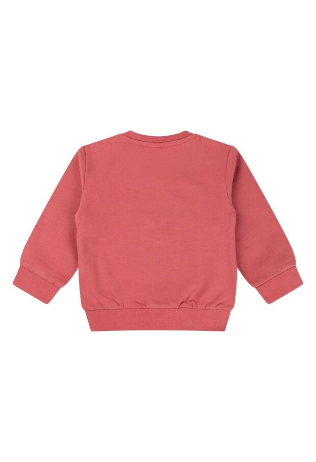 W10303/3111403 LICHT ROOD 