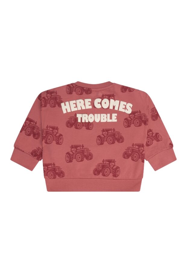 W10304/3111404 LICHT ROOD