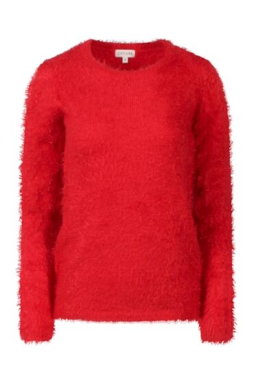 Citylife W10416/LW00347 ROOD goji berry Citylife W10416/LW00347 ROOD goji berry