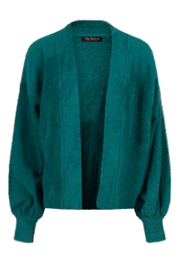 W10602/Valentina petrol