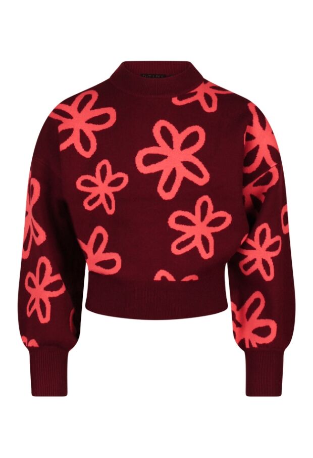 W10117/Tanomi DONKER ROOD