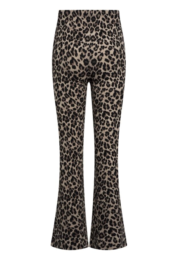 W10123/Truda aop KIT