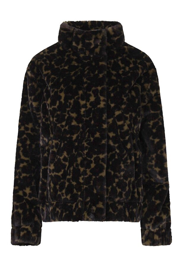 W10339/LJ-77777 Bruin