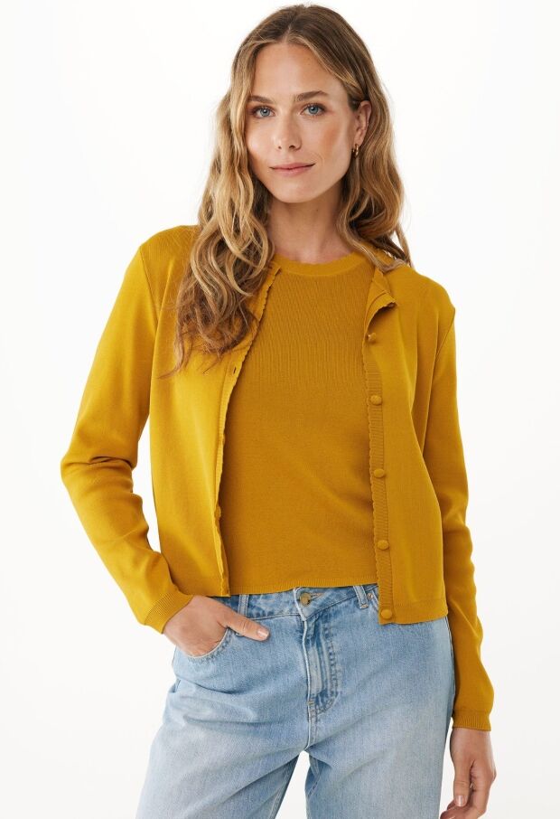 MF006601853W MOSTERD 