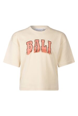 D-zine Z10204/Aagje KIT  kit